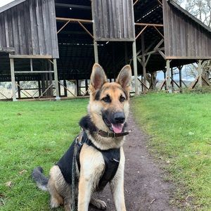 Meet your Posher, Karey